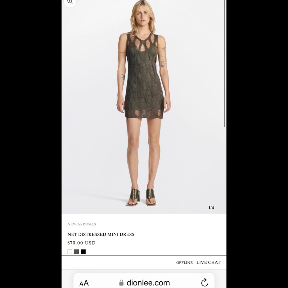 2022 spring Dion Lee NET DISTRESSED MINI Dress
